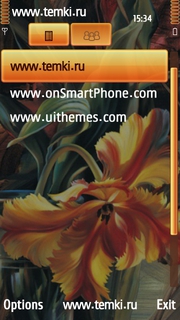 Скриншот №3 для темы Оранжевый цветок