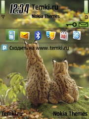 Две рыси для Nokia E73 Mode
