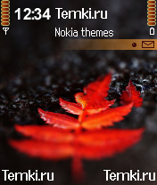 Красный лист для Nokia N70