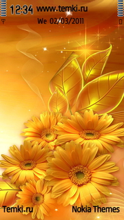 Золотые Цветы для Nokia X6 8GB