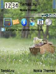 Лес для Nokia X5-00