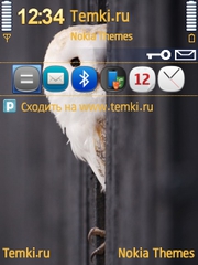 Сова для Nokia N92