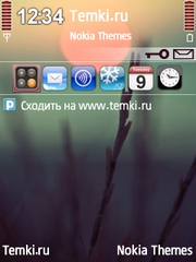 Весна для Nokia N81
