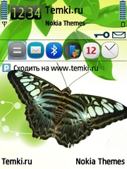 Бабочка для Nokia N80