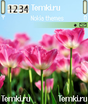 Цветы для Nokia 6680