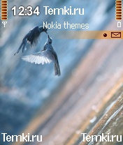 Птицы для Nokia N90