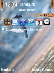 Птицы для Nokia N96