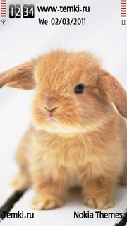 Кролик для Nokia N97 mini