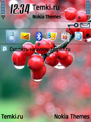 Ягодки для Nokia N95 8GB