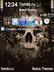 Череп для Nokia N77