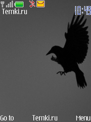 Черная птица для Nokia 6260 slide