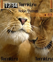 Милые львы для Nokia 6680