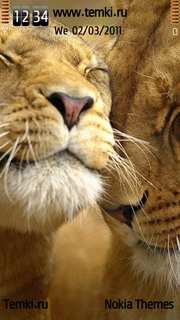 Милые львы для Sony Ericsson Kurara
