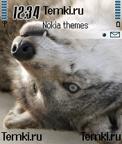 Волк для Nokia 6600