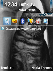 Киса для Nokia N95