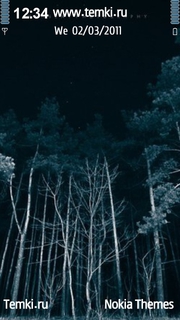 Скриншот №1 для темы Ночной лес