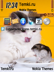 Приятного аппетита для Nokia N96
