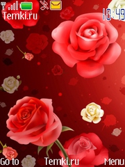 Розы для Nokia Asha 310