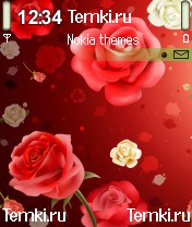 Розы для Nokia N72