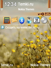 Цветы для Nokia N76