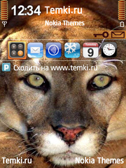 Глазастая пума для Nokia E73 Mode