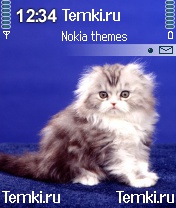 Пьер Безухов для Nokia N70