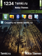 Лесное для Nokia E71