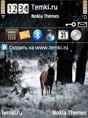 В снегу для Nokia E73 Mode