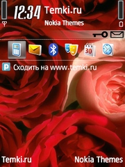 Розы для Nokia E70