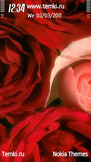 Розы для Samsung i8910 OmniaHD