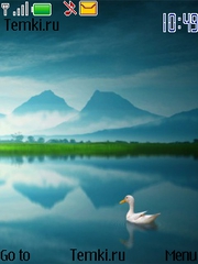 Птица на озере для Nokia 2730 Classic