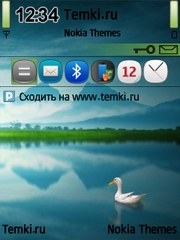 Птица на озере для Nokia 6121 Classic