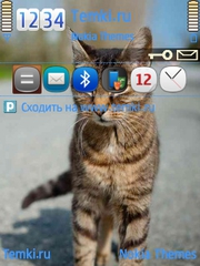 Кошка для Nokia 6760 Slide