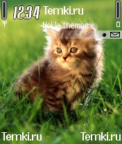 Кошечка для Nokia N90
