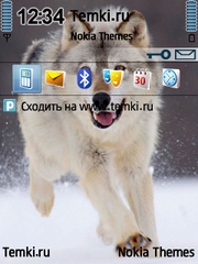 Волк бежит для Nokia E73
