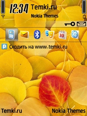 Листья для Nokia 6121 Classic