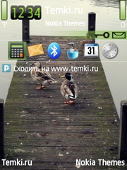 Утки для Nokia E73 Mode