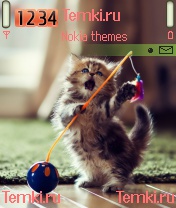 Котеночек для Nokia N72