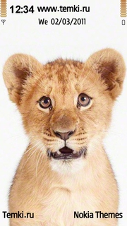 Львёнок для Nokia X6 8GB