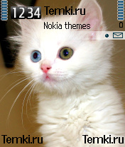 Котёнок для Nokia N90