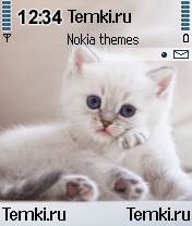 Котеночек для Nokia 6681
