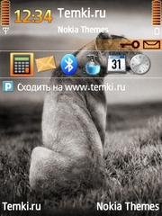 Большая кошка для Nokia X5-00