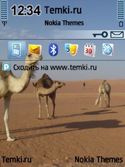 Верблюжатина для Nokia E73 Mode