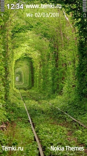 Зеленый тоннель для Nokia 5228