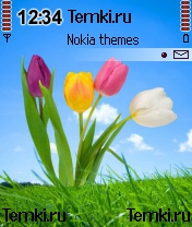 Тюльпаны для Nokia 6680