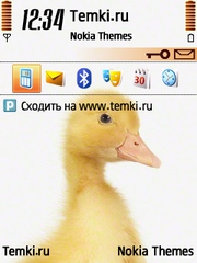 Утенок для Nokia N71