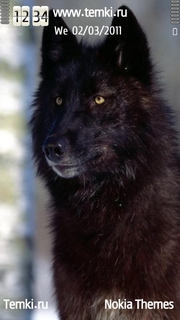 Черный волк для Sony Ericsson Satio