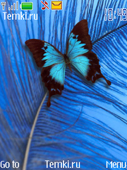 Бабочка для Nokia 6555