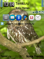 Сова для Nokia N92