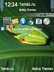Лягушка для Nokia E73 Mode